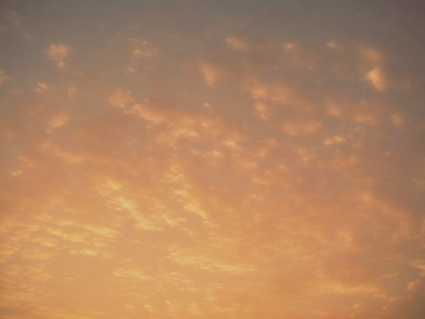 c0226214_729353.jpg