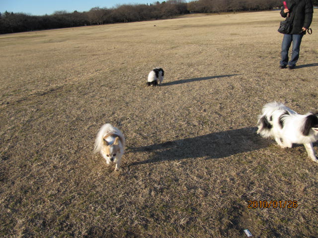 c0200916_22141569.jpg