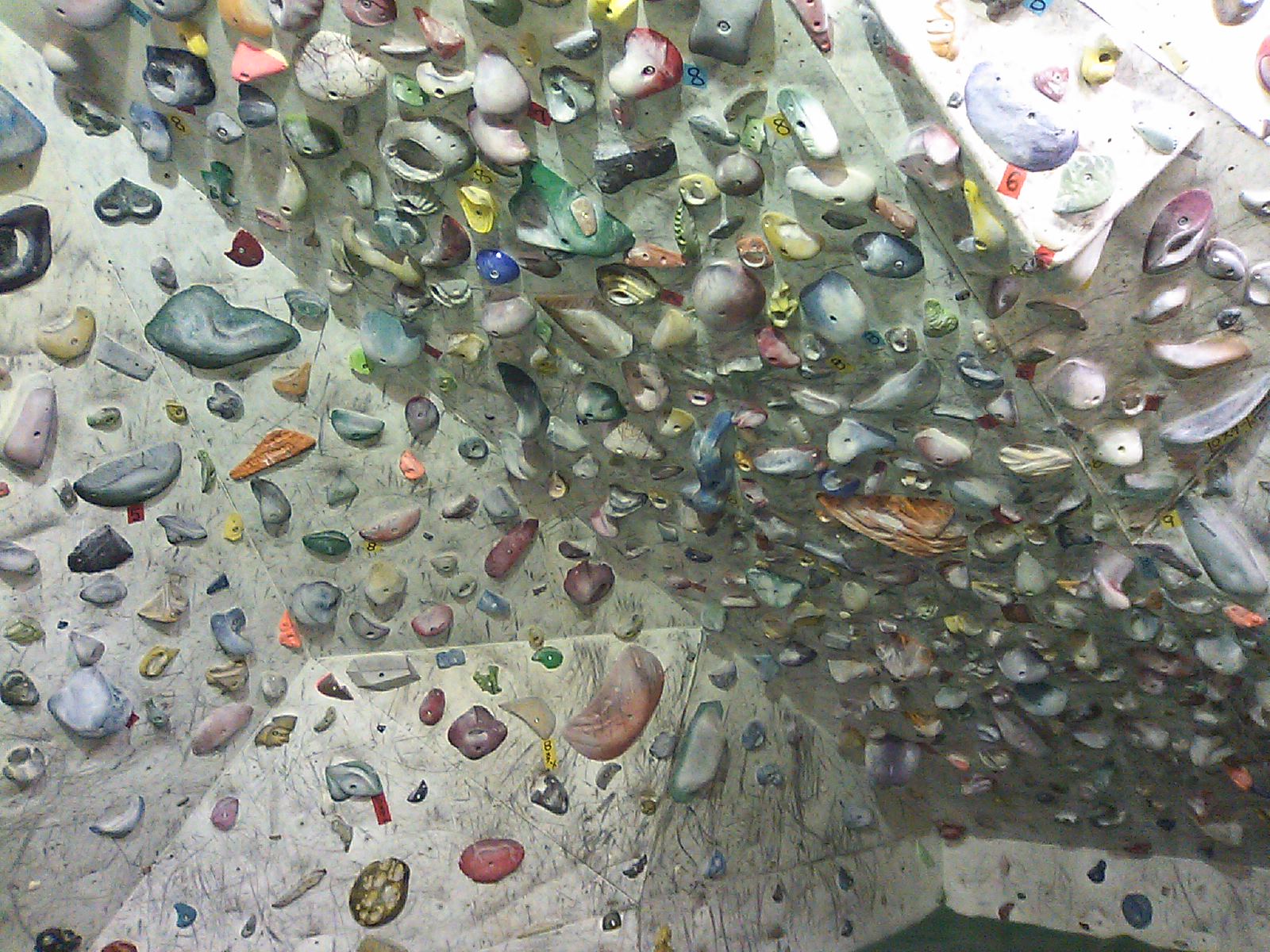 c0210618_1325461.jpg