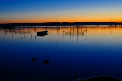 d0070920_20124211.jpg