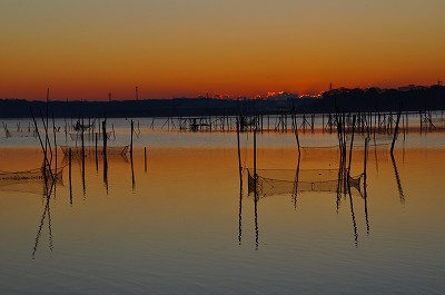 d0070920_20125597.jpg