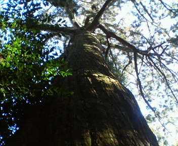 f0036223_1651563.jpg