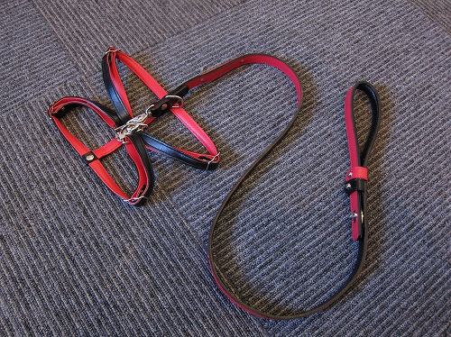 c0209932_1238494.jpg