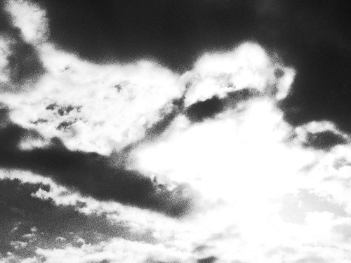 d0017632_16999.jpg