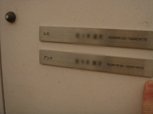 f0208737_919090.jpg