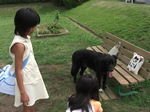 CIMG0754.JPG