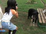 CIMG0753.JPG