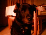 200810160013000.jpg