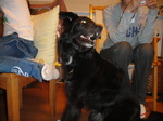 DSC00031.JPG