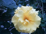 DSC00068.JPG