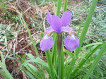 DSC00070.JPG