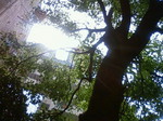 DSC95.JPG