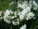DSC00047.JPG