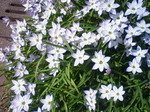 DSC00043.JPG