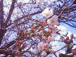DSC00040.JPG