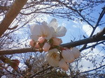 DSC00042.JPG