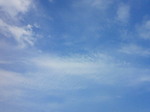 DSC00107.JPG