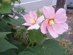 DSC0106.JPG