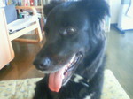 DSC00112.JPG
