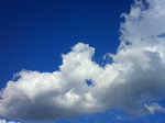 DSC1104.JPG