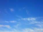 DSC1007.JPG