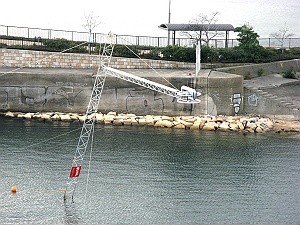 c0041039_105544.jpg