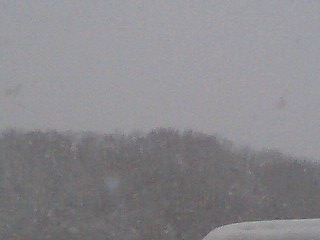c0117239_12315620.jpg