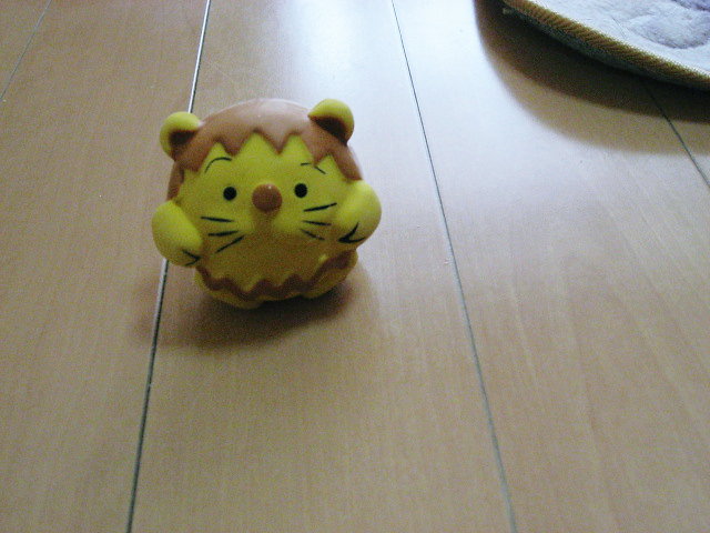 a0149240_19273981.jpg