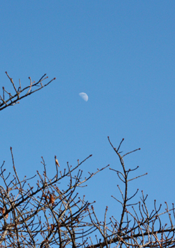 f0032340_1120786.jpg