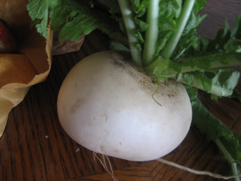 e0018143_13515745.jpg