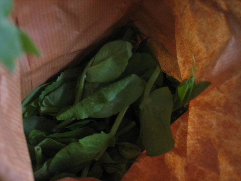 e0018143_13532387.jpg