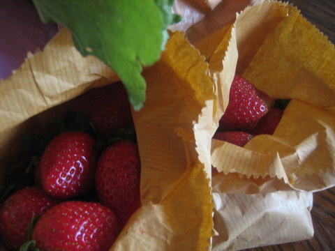 e0018143_135338.jpg