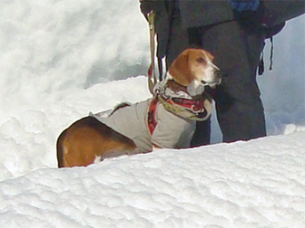 c0086746_385147.jpg