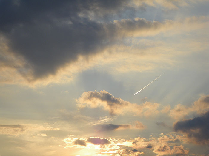 e0026053_1525819.jpg