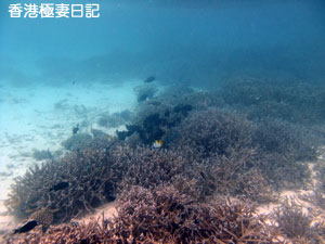 f0190653_8571043.jpg