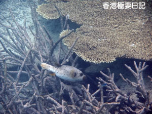 f0190653_8572178.jpg