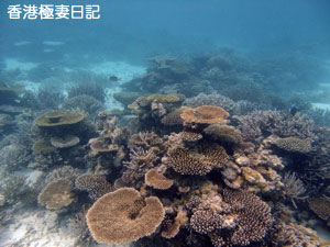 f0190653_8573161.jpg