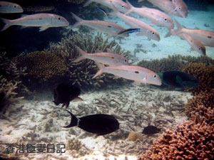 f0190653_8574454.jpg