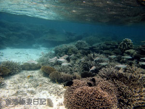 f0190653_857576.jpg