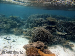 f0190653_8581497.jpg