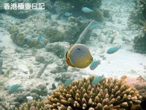f0190653_8582693.jpg