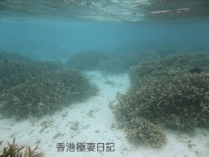 f0190653_8585313.jpg