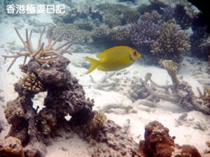 f0190653_859187.jpg
