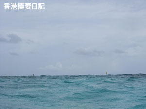 f0190653_859305.jpg