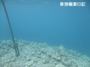 f0190653_8594213.jpg