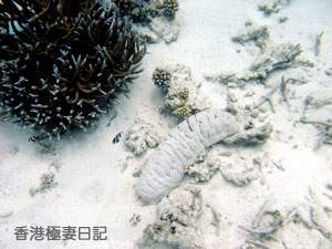 f0190653_90347.jpg