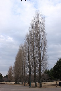 e0129958_10221679.jpg