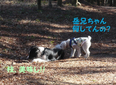 f0203369_2226391.jpg