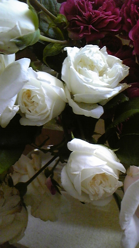 c0202870_0115992.jpg