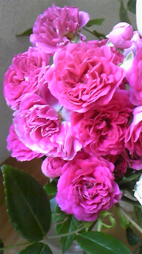 c0202870_0121469.jpg